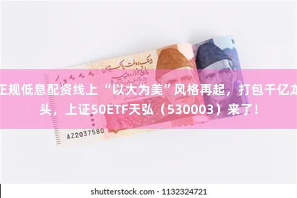 正规低息配资线上 “以大为美”风格再起，打包千亿龙头，上证50ETF天弘（530003）来了！