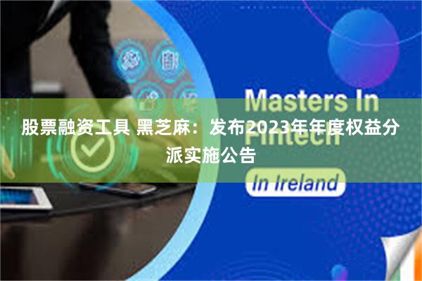 股票融资工具 黑芝麻：发布2023年年度权益分派实施公告