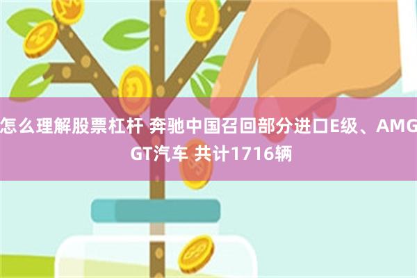 怎么理解股票杠杆 奔驰中国召回部分进口E级、AMG GT汽车 共计1716辆