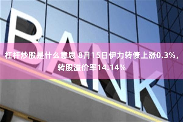 杠杆炒股是什么意思 8月15日伊力转债上涨0.3%，转股溢价率14.14%