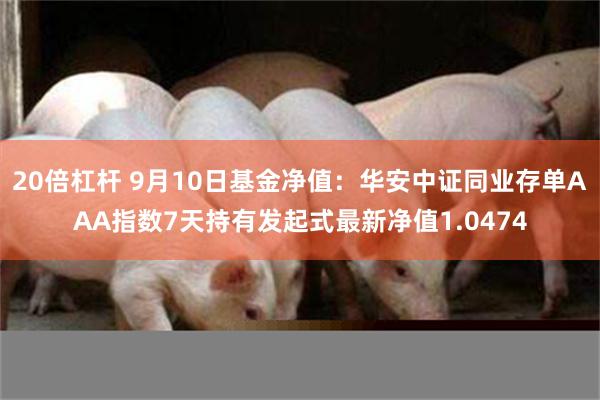 20倍杠杆 9月10日基金净值：华安中证同业存单AAA指数7天持有发起式最新净值1.0474