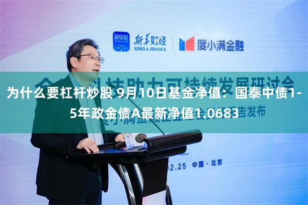 为什么要杠杆炒股 9月10日基金净值：国泰中债1-5年政金债A最新净值1.0683