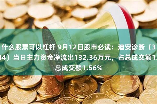 什么股票可以杠杆 9月12日股市必读：迪安诊断（300244）当日主力资金净流出132.36万元，占总成交额1.56%