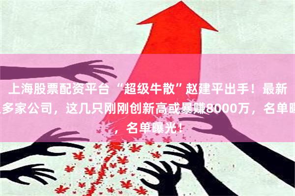 上海股票配资平台 “超级牛散”赵建平出手！最新买入多家公司，这几只刚刚创新高或暴赚8000万，名单曝光！