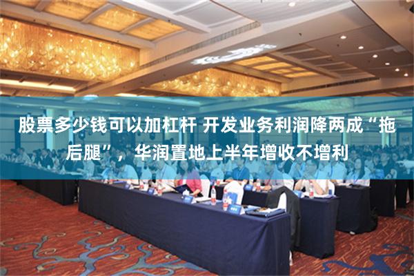 股票多少钱可以加杠杆 开发业务利润降两成“拖后腿”，华润置地上半年增收不增利