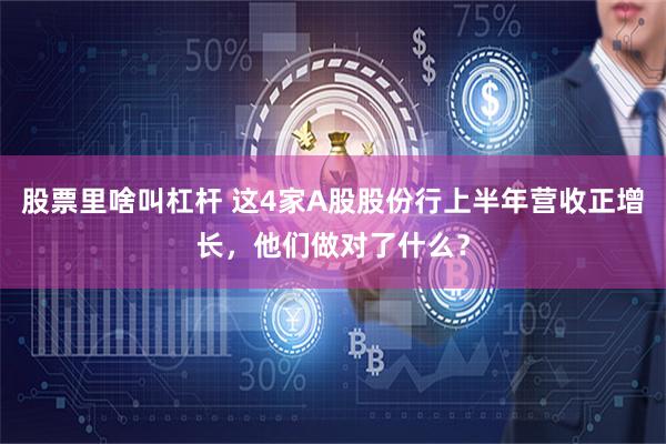 股票里啥叫杠杆 这4家A股股份行上半年营收正增长，他们做对了什么？