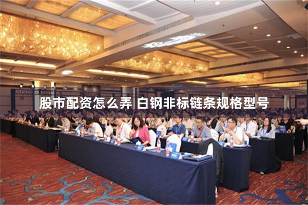 股市配资怎么弄 白钢非标链条规格型号
