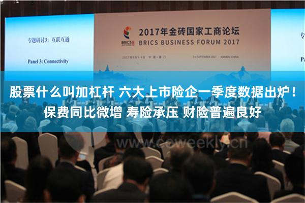 股票什么叫加杠杆 六大上市险企一季度数据出炉！保费同比微增 寿险承压 财险普遍良好