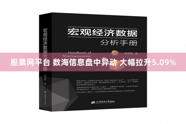 股票网平台 数海信息盘中异动 大幅拉升5.09%