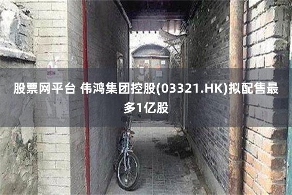 股票网平台 伟鸿集团控股(03321.HK)拟配售最多1亿股