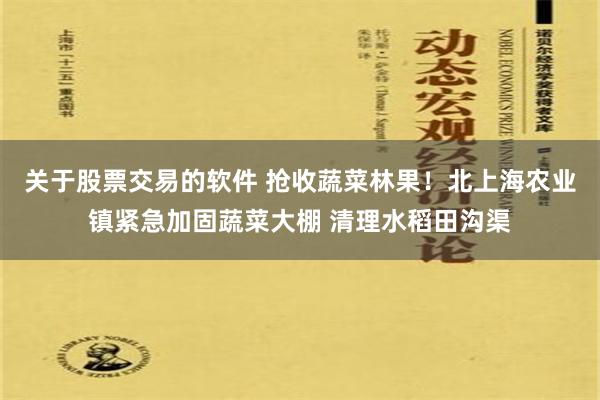 关于股票交易的软件 抢收蔬菜林果！北上海农业镇紧急加固蔬菜大棚 清理水稻田沟渠