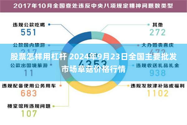 股票怎样用杠杆 2024年9月23日全国主要批发市场草菇价格行情