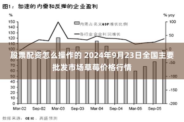 股票配资怎么操作的 2024年9月23日全国主要批发市场草莓价格行情