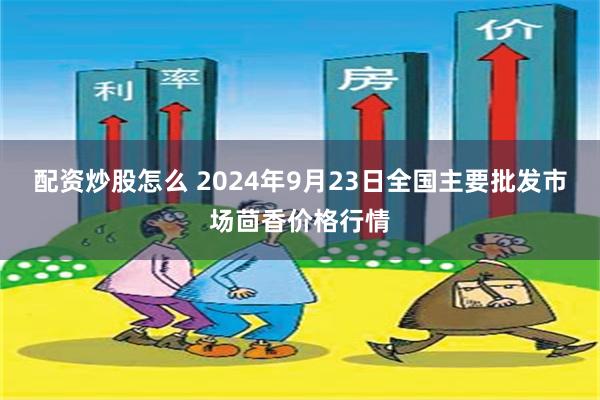 配资炒股怎么 2024年9月23日全国主要批发市场茴香价格行情