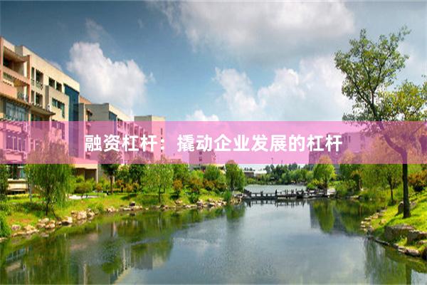 融资杠杆：撬动企业发展的杠杆