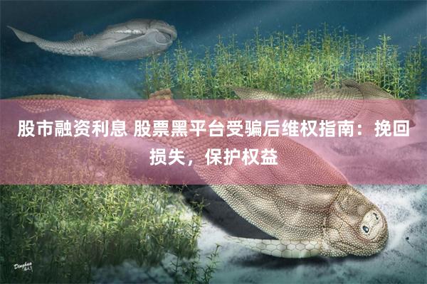 股市融资利息 股票黑平台受骗后维权指南：挽回损失，保护权益