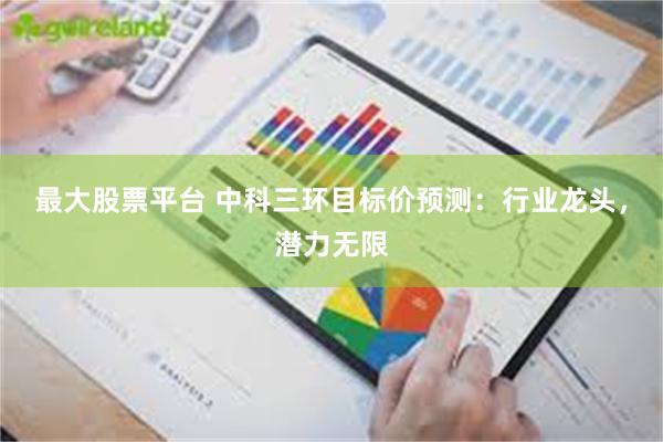 最大股票平台 中科三环目标价预测：行业龙头，潜力无限