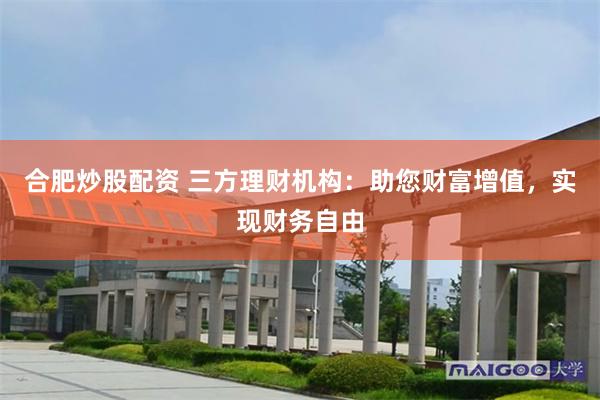 合肥炒股配资 三方理财机构：助您财富增值，实现财务自由