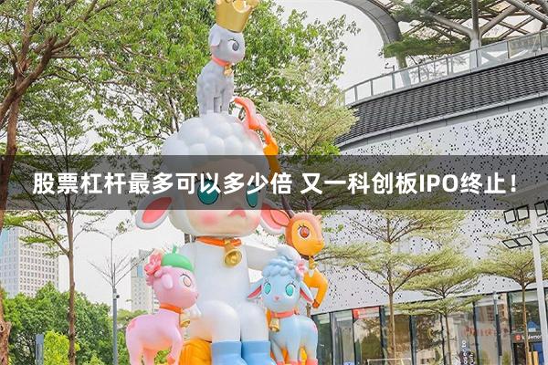 股票杠杆最多可以多少倍 又一科创板IPO终止！