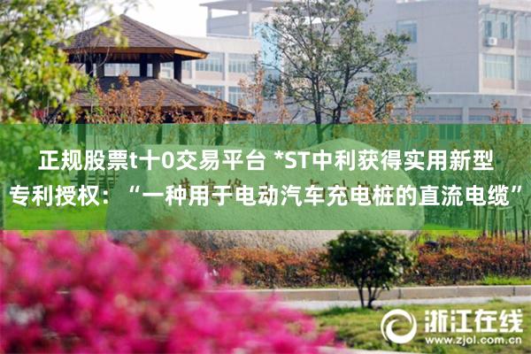 正规股票t十0交易平台 *ST中利获得实用新型专利授权：“一种用于电动汽车充电桩的直流电缆”