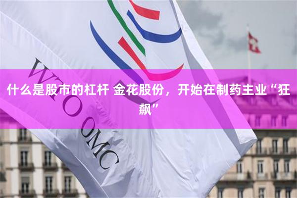 什么是股市的杠杆 金花股份，开始在制药主业“狂飙”