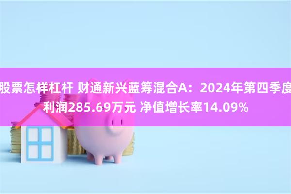 股票怎样杠杆 财通新兴蓝筹混合A：2024年第四季度利润285.69万元 净值增长率14.09%