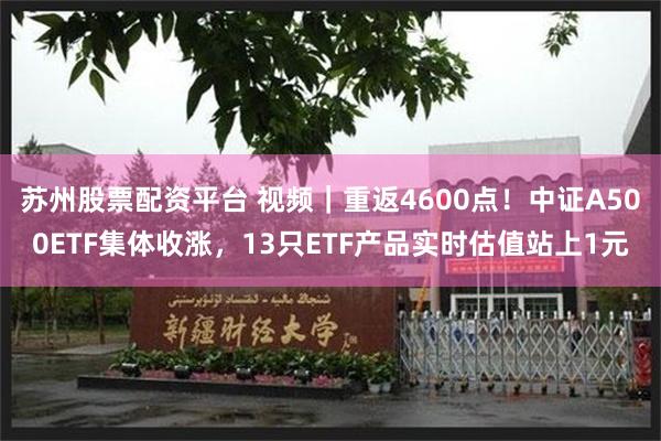 苏州股票配资平台 视频｜重返4600点！中证A500ETF集体收涨，13只ETF产品实时估值站上1元
