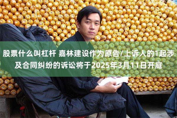 股票什么叫杠杆 嘉林建设作为原告/上诉人的1起涉及合同纠纷的诉讼将于2025年3月11日开庭