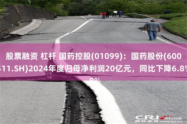股票融资 杠杆 国药控股(01099)：国药股份(600511.SH)2024年度归母净利润20亿元，同比下降6.8%