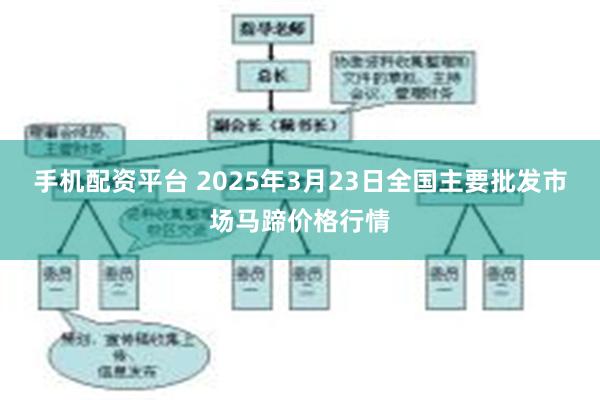 手机配资平台 2025年3月23日全国主要批发市场马蹄价格行情