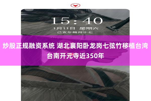 炒股正规融资系统 湖北襄阳卧龙岗七弦竹移植台湾台南开元寺近350年