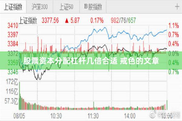 股票资本分配杠杆几倍合适 戒色的文章