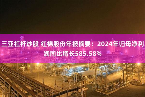 三亚杠杆炒股 红棉股份年报摘要：2024年归母净利润同比增长585.58%