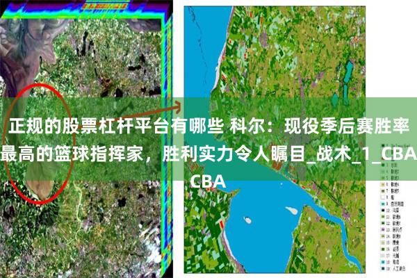 正规的股票杠杆平台有哪些 科尔：现役季后赛胜率最高的篮球指挥家，胜利实力令人瞩目_战术_1_CBA