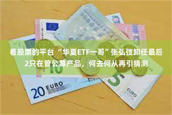 看股票的平台 “华夏ETF一哥”张弘弢卸任最后2只在管公募产品，何去何从再引猜测