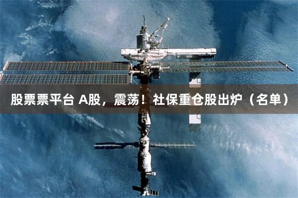 股票票平台 A股，震荡！社保重仓股出炉（名单）