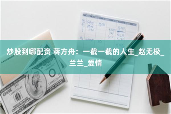 炒股到哪配资 蒋方舟：一截一截的人生_赵无极_兰兰_爱情
