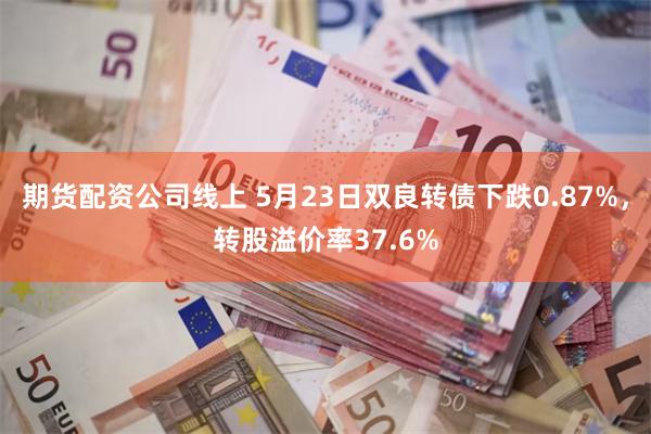期货配资公司线上 5月23日双良转债下跌0.87%，转股溢价率37.6%