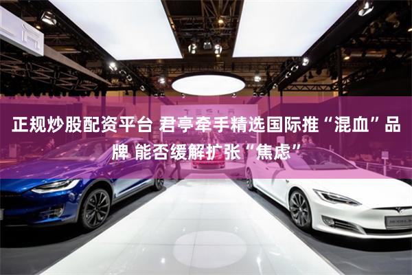 正规炒股配资平台 君亭牵手精选国际推“混血”品牌 能否缓解扩张“焦虑”