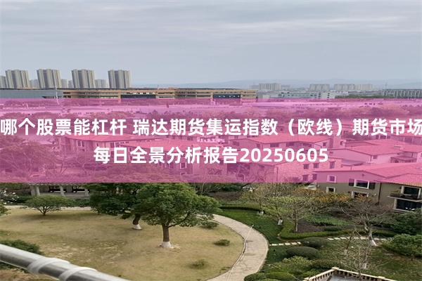 哪个股票能杠杆 瑞达期货集运指数（欧线）期货市场每日全景分析报告20250605