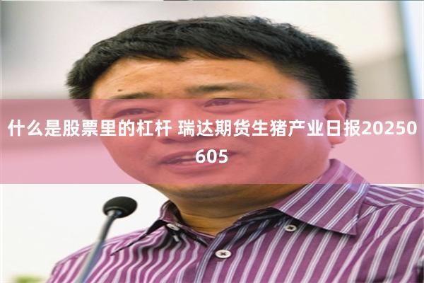 什么是股票里的杠杆 瑞达期货生猪产业日报20250605