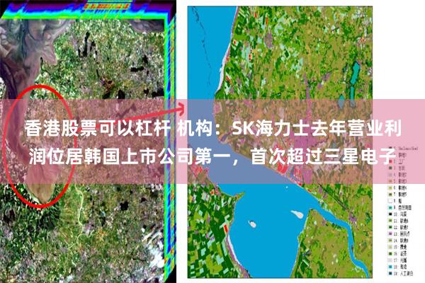 香港股票可以杠杆 机构：SK海力士去年营业利润位居韩国上市公司第一，首次超过三星电子