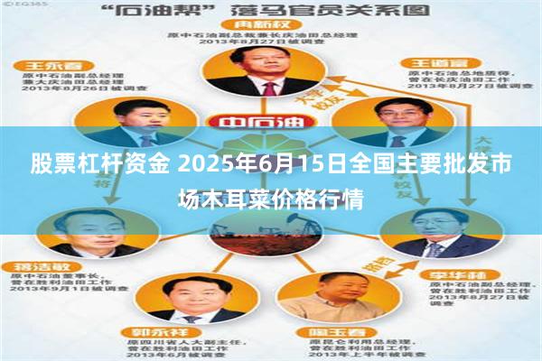 股票杠杆资金 2025年6月15日全国主要批发市场木耳菜价格行情