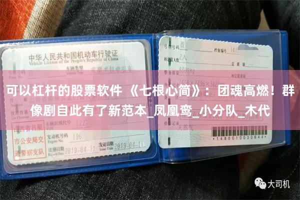 可以杠杆的股票软件 《七根心简》：团魂高燃！群像剧自此有了新范本_凤凰鸾_小分队_木代