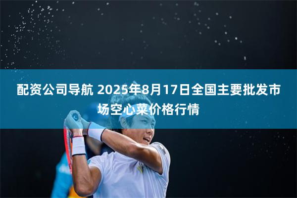配资公司导航 2025年8月17日全国主要批发市场空心菜价格行情
